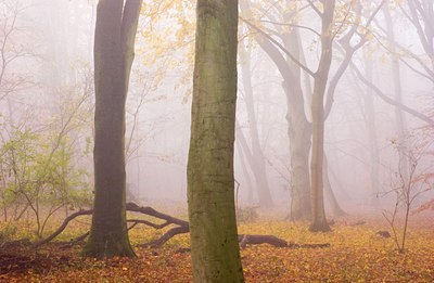 BUITEN BEELD Foto: 68168
