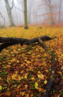 BUITEN BEELD Foto: 68171