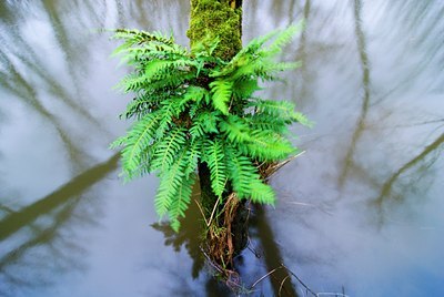 BUITEN BEELD Foto: 68179