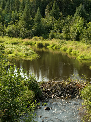 BUITEN BEELD Foto: 68261