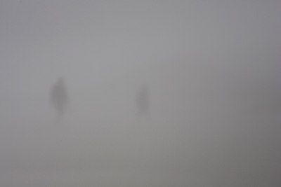 BUITEN BEELD Foto: 68280
