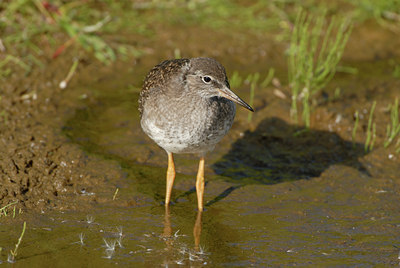BUITEN BEELD Foto: 68337