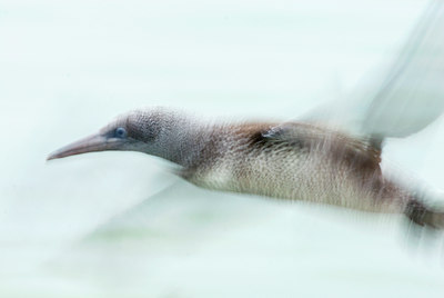 BUITEN BEELD Foto: 68361