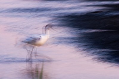 BUITEN BEELD Foto: 68366