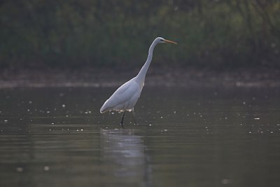 BUITEN BEELD Foto: 68379