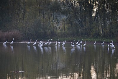 BUITEN BEELD Foto: 68380