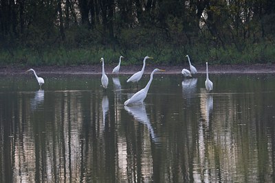 BUITEN BEELD Foto: 68381