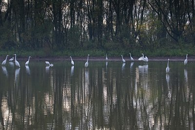 BUITEN BEELD Foto: 68382