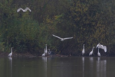 BUITEN BEELD Foto: 68395