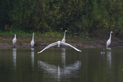 BUITEN BEELD Foto: 68396