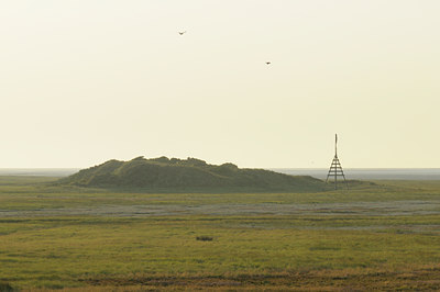 BUITEN BEELD Foto: 68435