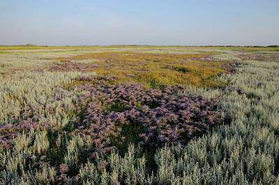 BUITEN BEELD Foto: 68438