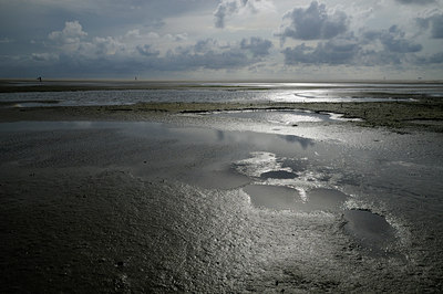 BUITEN BEELD Foto: 68451