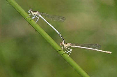 BUITEN BEELD Foto: 68471