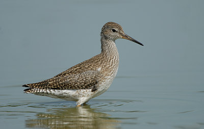 BUITEN BEELD Foto: 68483