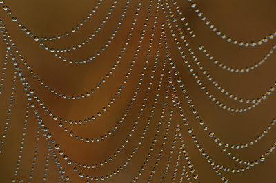 BUITEN BEELD Foto: 68554