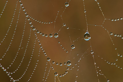 BUITEN BEELD Foto: 68555
