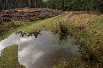 BUITEN BEELD Foto: 68559