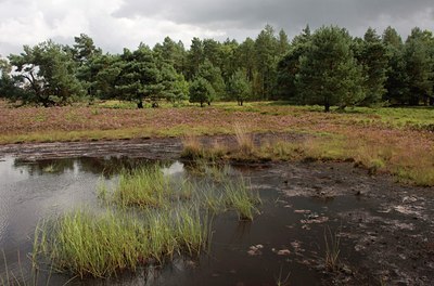 BUITEN BEELD Foto: 68561