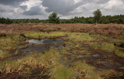 BUITEN BEELD Foto: 68566