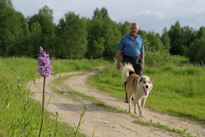 BUITEN BEELD Foto: 68570