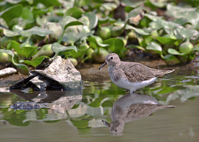 BUITEN BEELD Foto: 68583