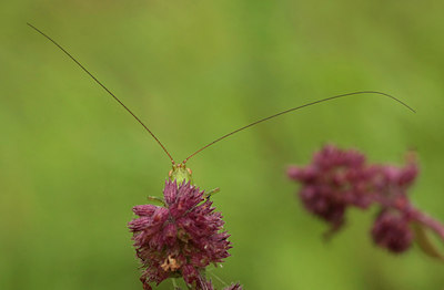 BUITEN BEELD Foto: 68635