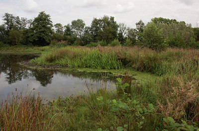 BUITEN BEELD Foto: 68639