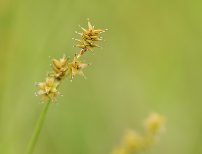 BUITEN BEELD Foto: 68654
