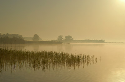 BUITEN BEELD Foto: 68655