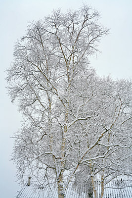 BUITEN BEELD Foto: 68662