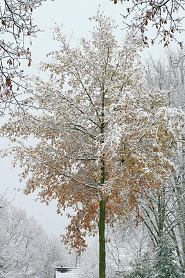 BUITEN BEELD Foto: 68671