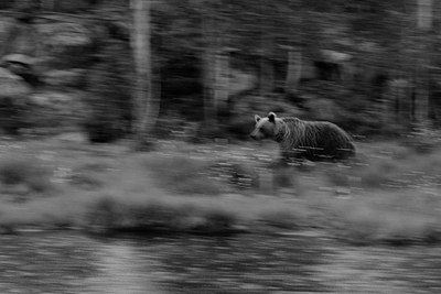 BUITEN BEELD Foto: 68680