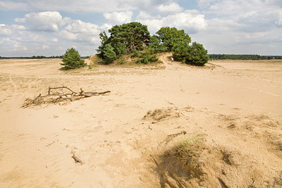 BUITEN BEELD Foto: 68692