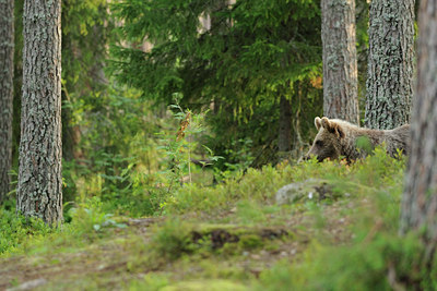 BUITEN BEELD Foto: 68707