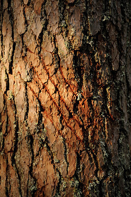 BUITEN BEELD Foto: 68713