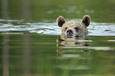 BUITEN BEELD Foto: 68725