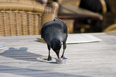 BUITEN BEELD Foto: 68737