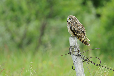 BUITEN BEELD Foto: 68763