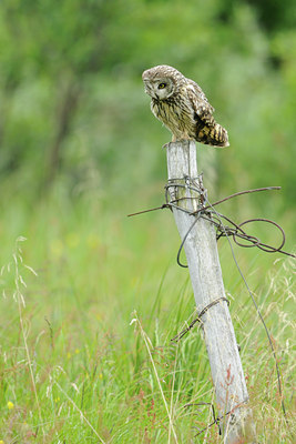 BUITEN BEELD Foto: 68767