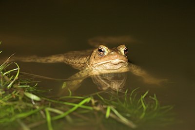 BUITEN BEELD Foto: 68837
