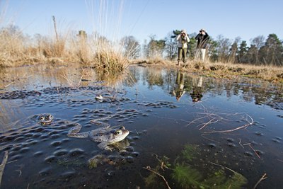 BUITEN BEELD Foto: 68849