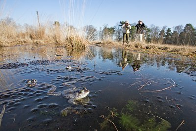 BUITEN BEELD Foto: 68849