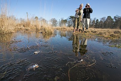 BUITEN BEELD Foto: 68852