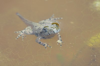 BUITEN BEELD Foto: 68861