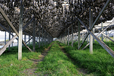 BUITEN BEELD Foto: 68876