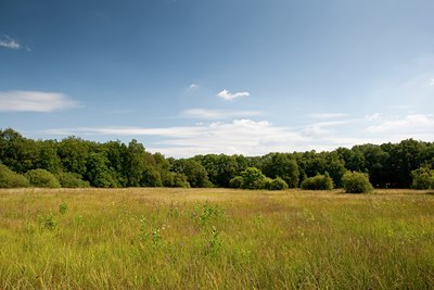 BUITEN BEELD Foto: 68920