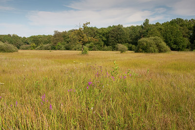 BUITEN BEELD Foto: 68931