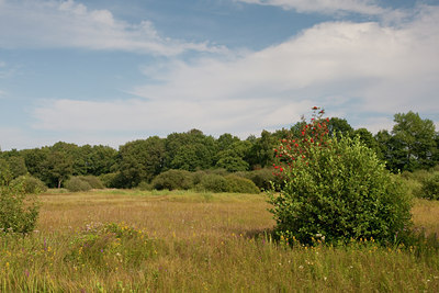 BUITEN BEELD Foto: 68939