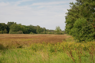 BUITEN BEELD Foto: 68940